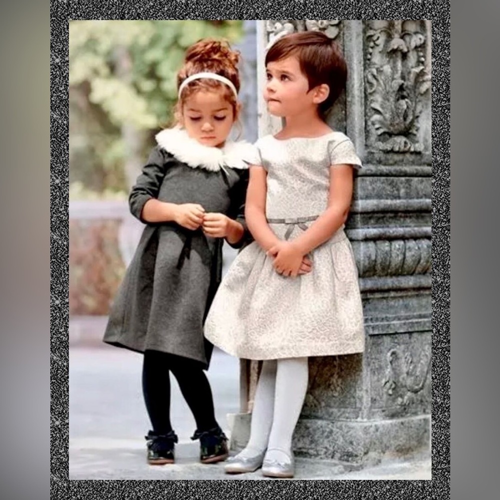 Janie and Jack “Festive Fox” Silver Sparkle Flocked Dress